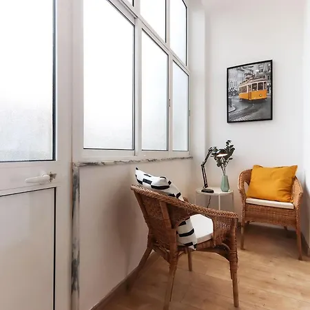 Apartment Typical By Homing